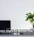 Houseplants Might Be Behind Your Sluggish Wi-Fi